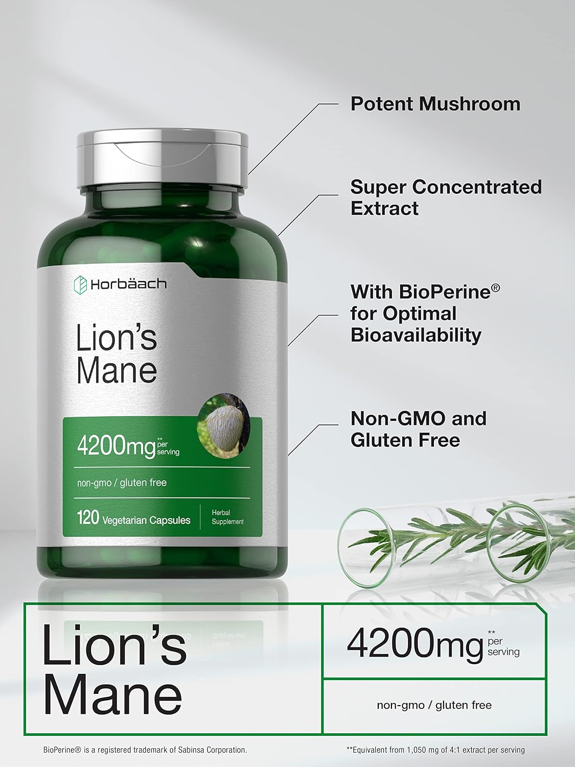 Horbäach Lions Mane Mushroom Extract - Energize Food Supplements Palestine